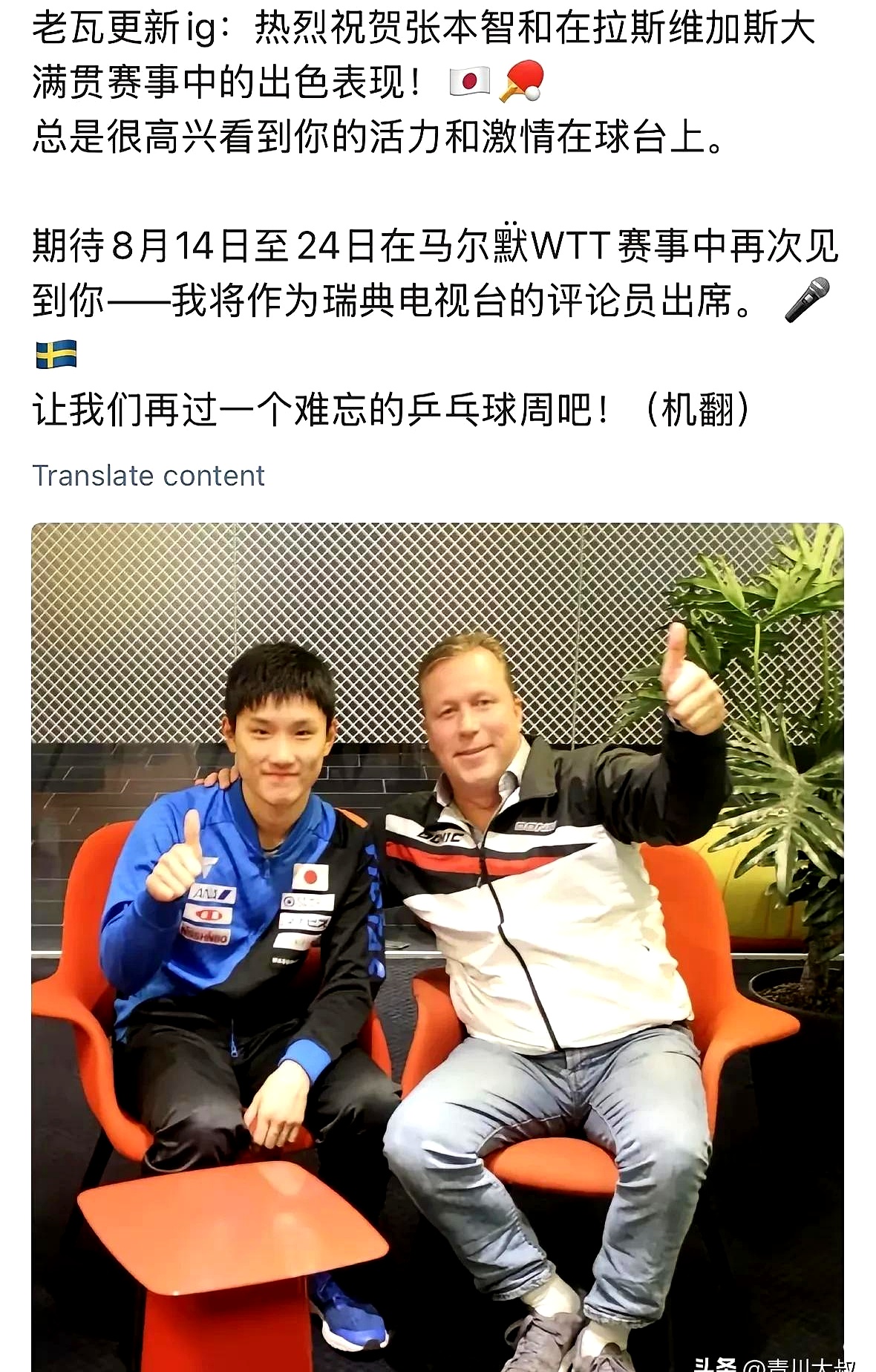 法国乒乓球队横扫比利时乒乓球队,王皓三分雨点燃全场的简单介绍 法国乒乓球队横扫比利时乒乓球队,王皓三分雨点燃全场的简单介绍