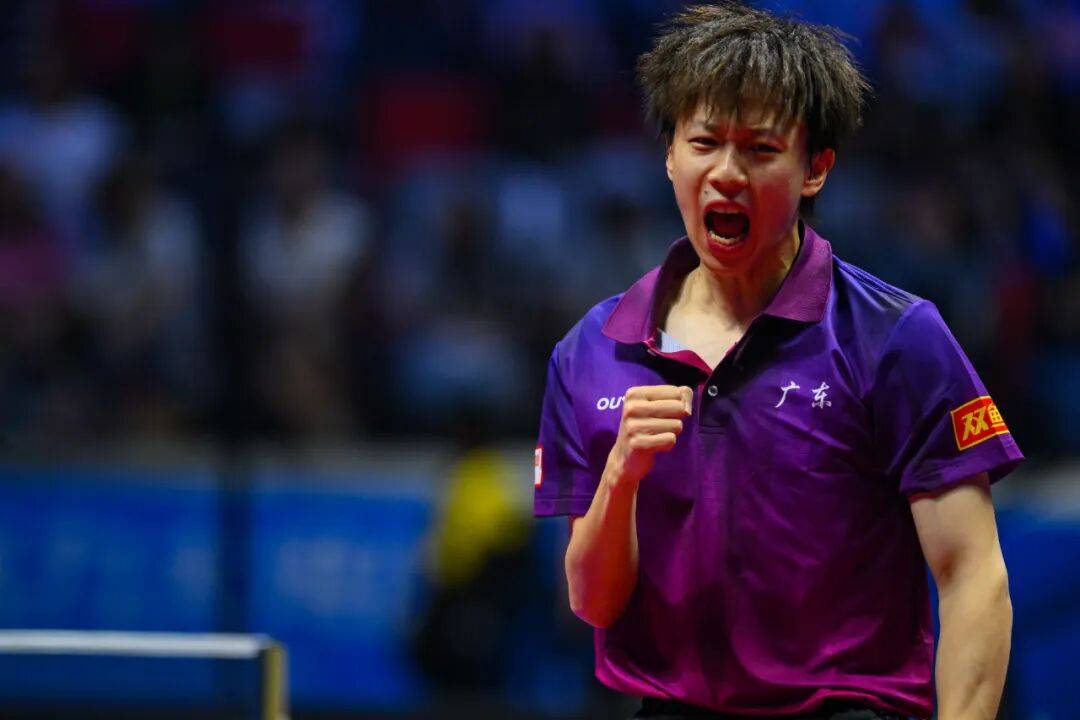 德国队力克葡萄牙队，林高远刷新纪录的简单介绍