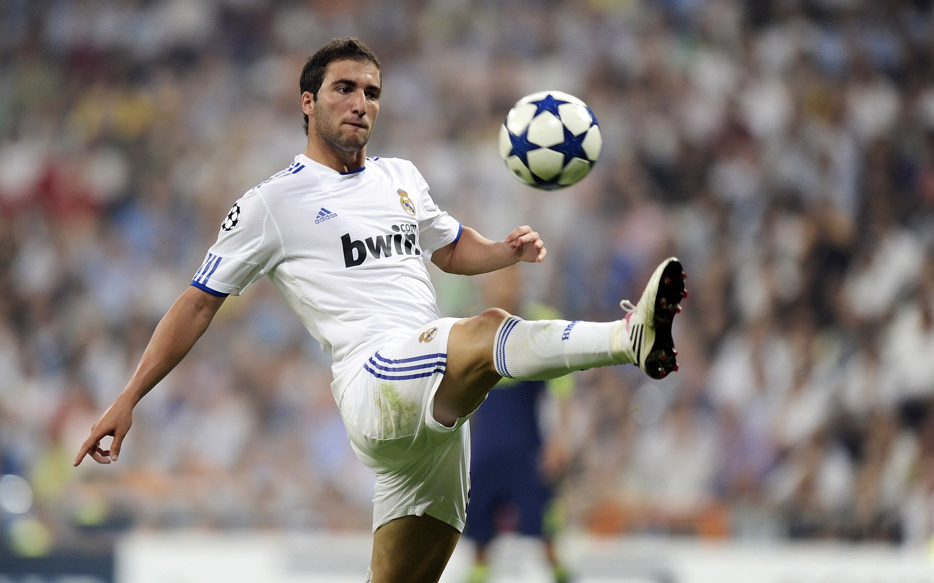 东决关键战焦点战，加纳制霸葡萄牙—当绿茵场上的黑星照亮欧洲豪门