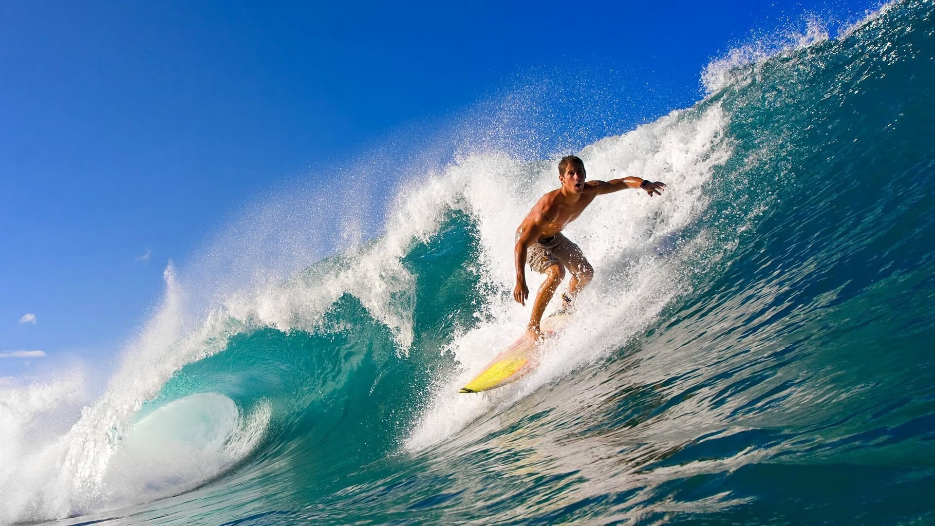 塞内加尔鏖战美国，孔德统治全场，非洲雄狮的战术交响曲